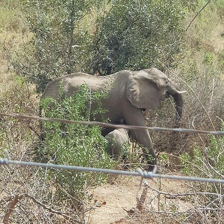HomeBase Kruger Marloth Park Exterior foto