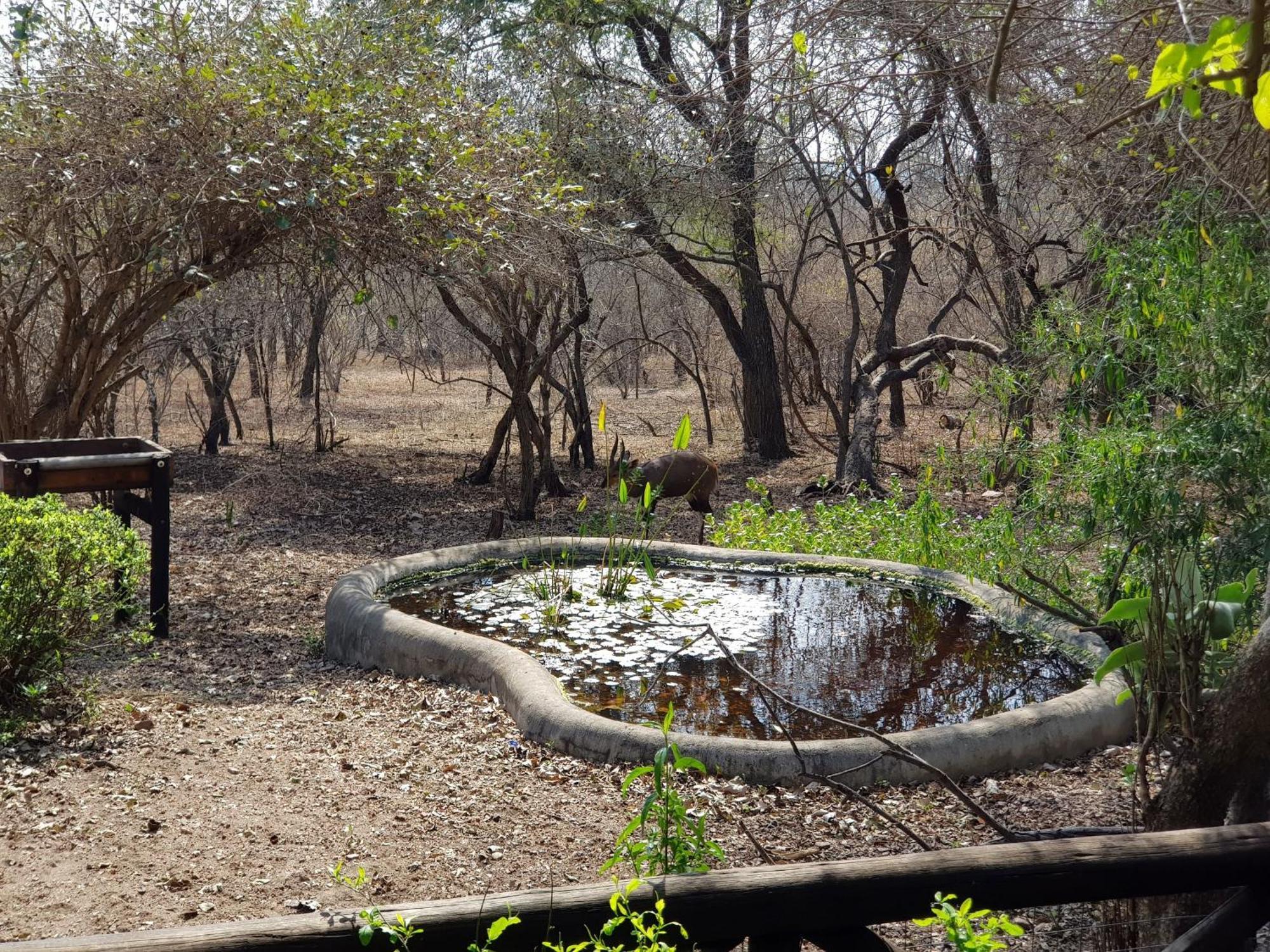 HomeBase Kruger Marloth Park Exterior foto